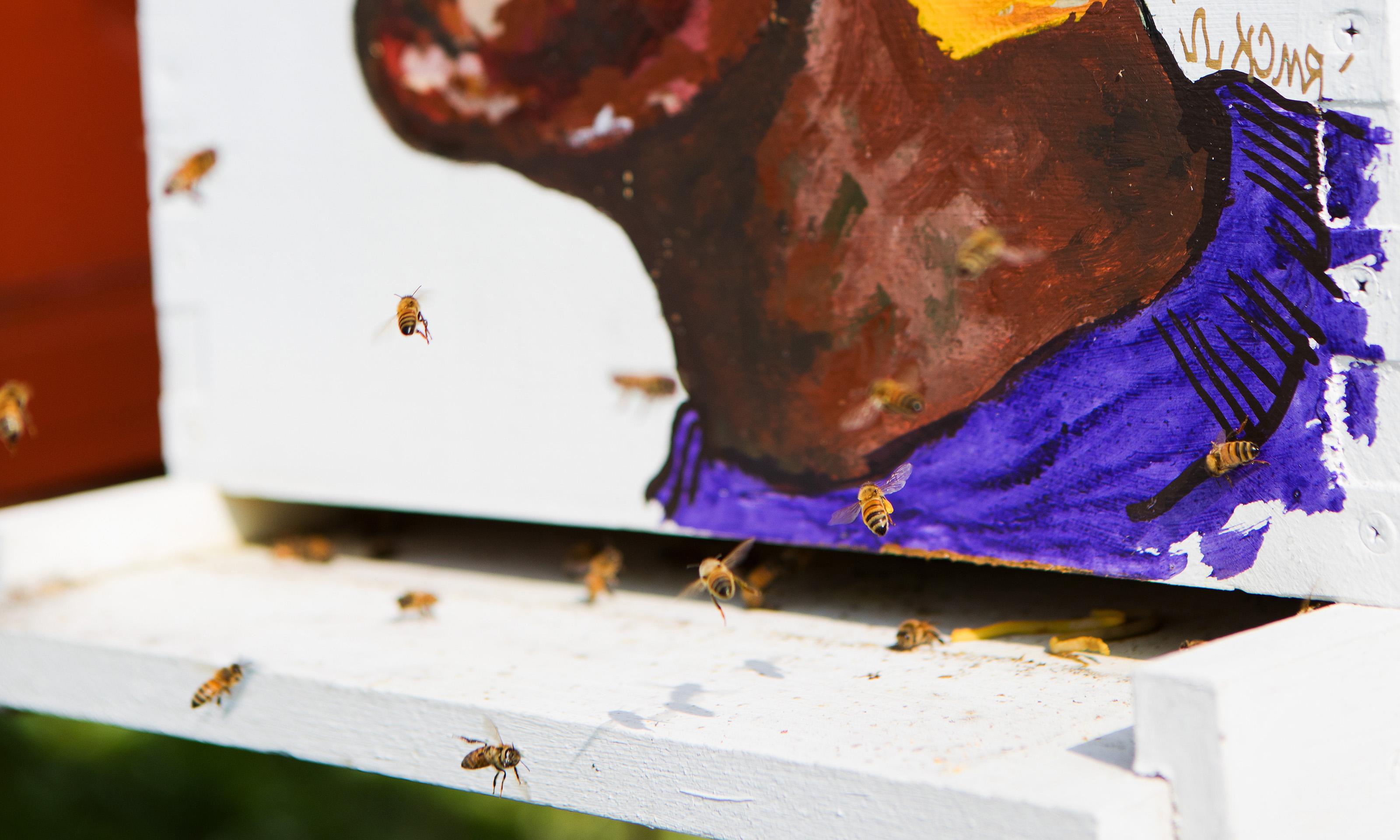 一幅人站在蜂巢上的画